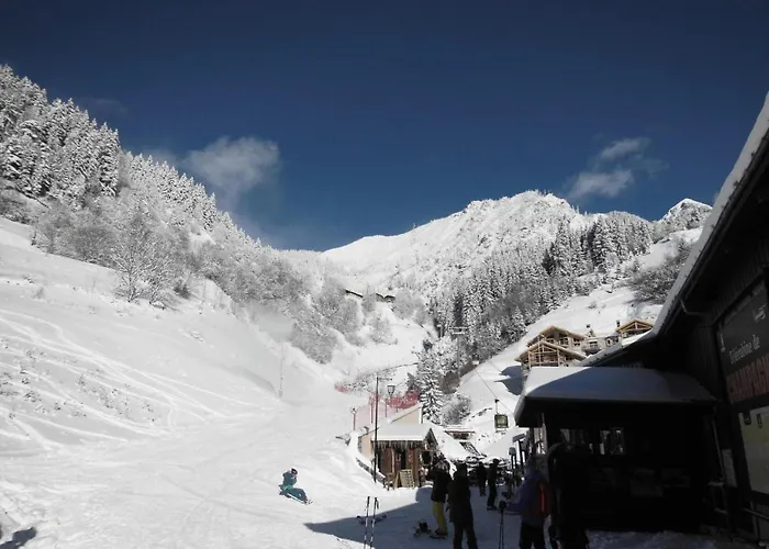 Les Primeveres - 3 Pieces Pour 6 Personnes Mae-3301 La Plagne