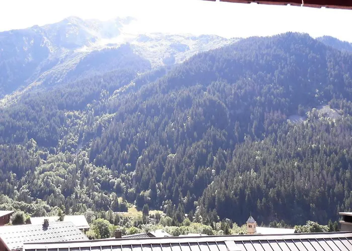 Les Primeveres - 3 Pieces Pour 6 Personnes Mae-3301 * La Plagne